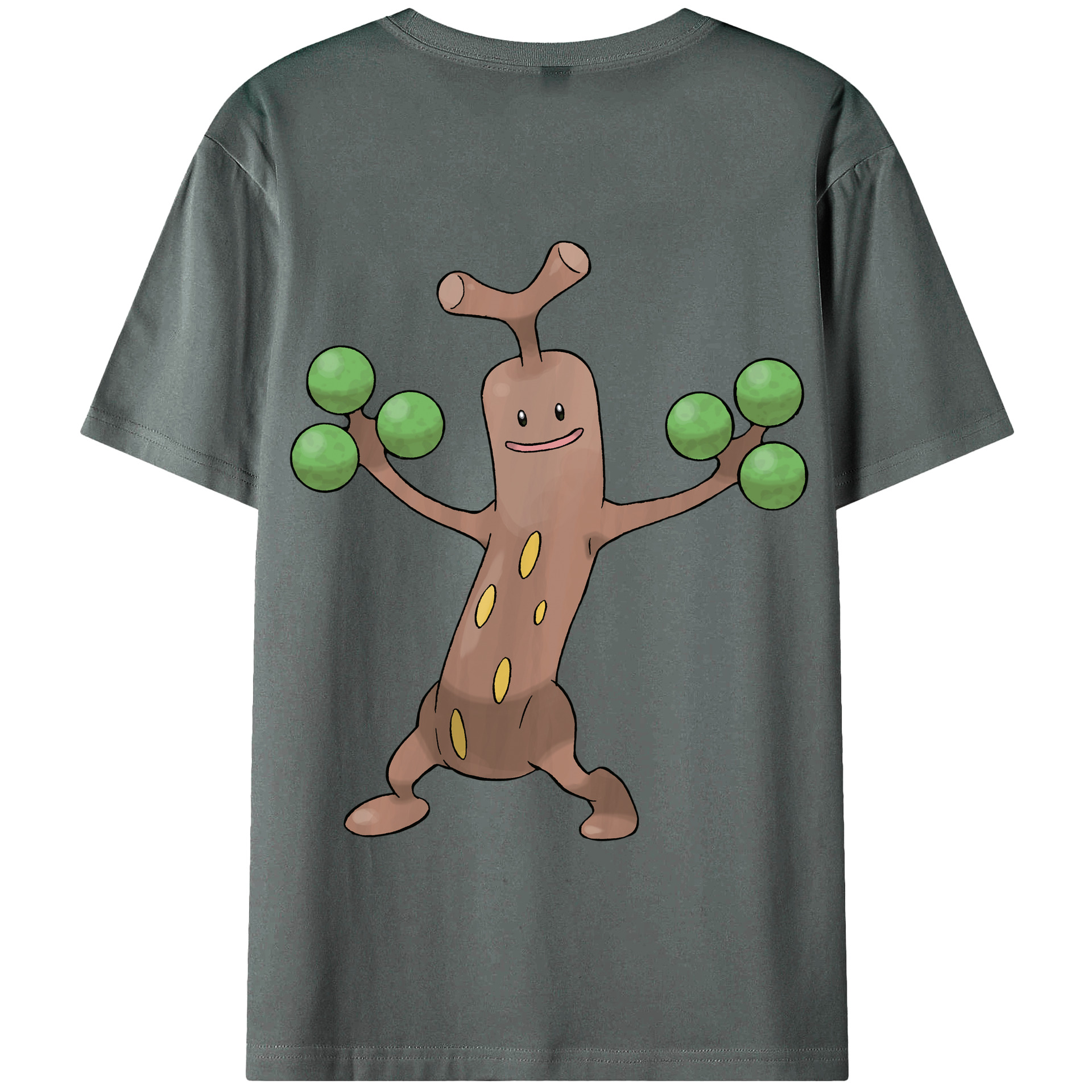 （画像用） ポケットモンスター Pokémon 綿100％半袖Tシャツ（背面プリント）
